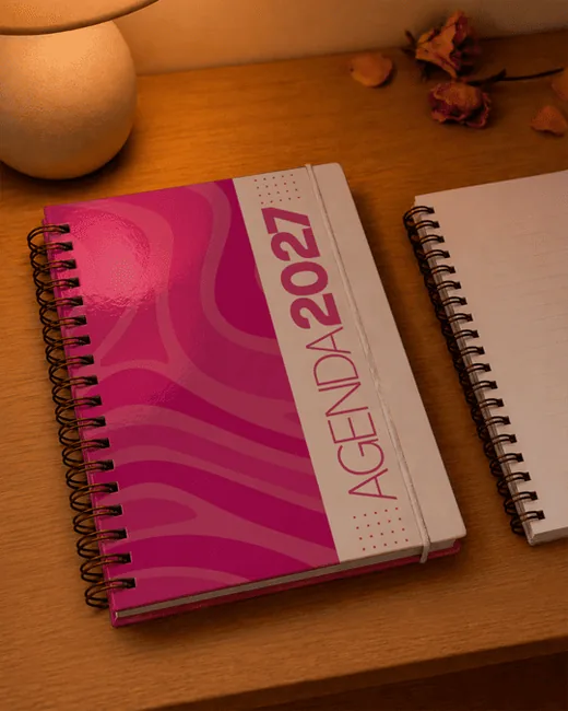 Pink 2027 agenda